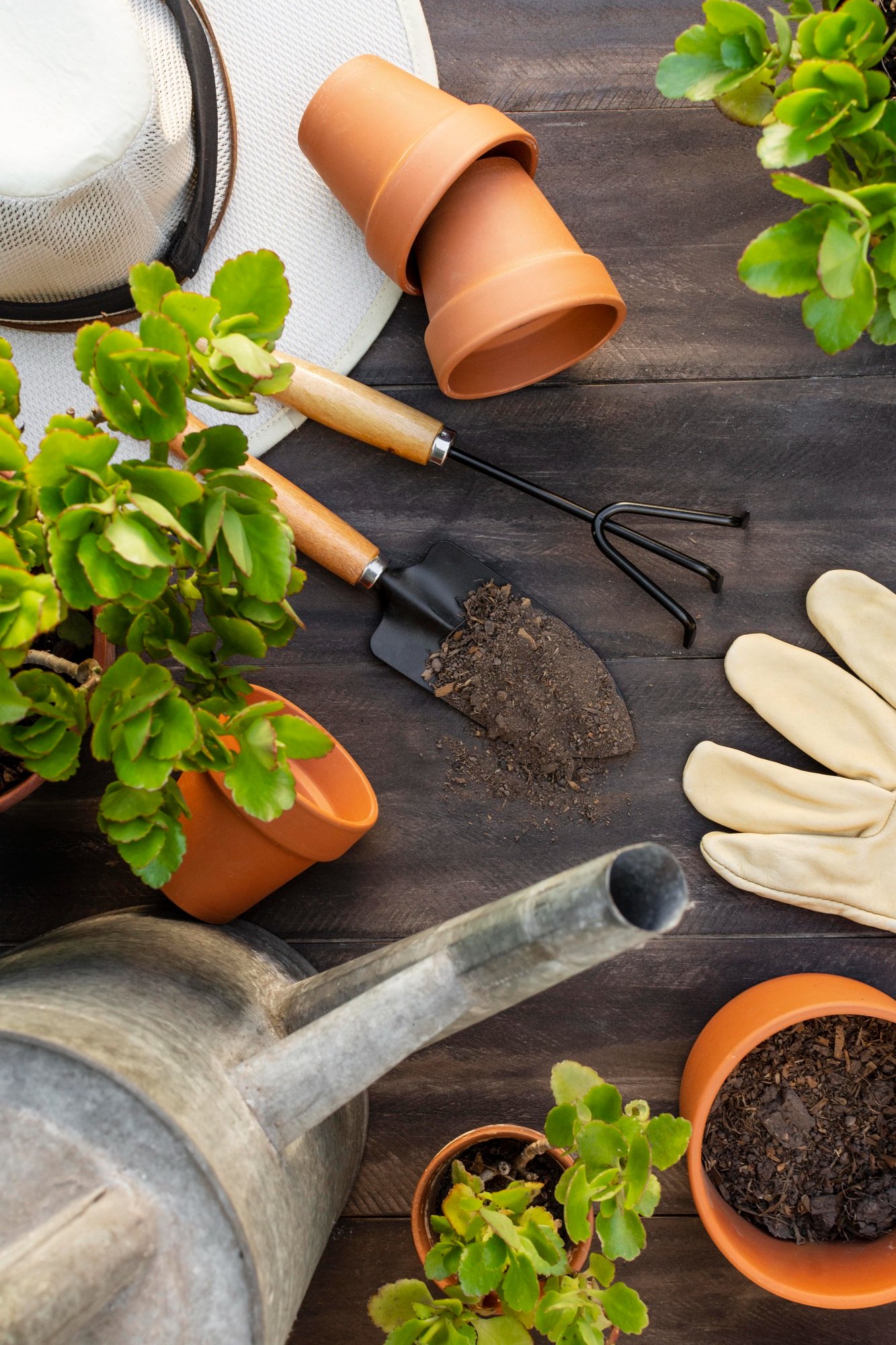 Servicio de Jardinería